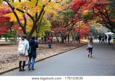 Shinjuku Gyoen