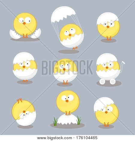 Christmas chickens in shell set. Traditional symbol of religious holiday isolated on white background. Cartoon style vector illustration