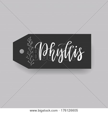 Phyllis - common female first name on a tag, perfect for seating card usage. One of wide collection in modern calligraphy style.