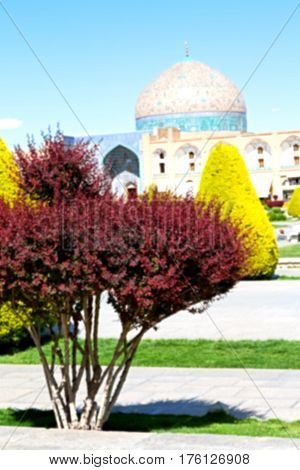 In Iran   The Old  Square