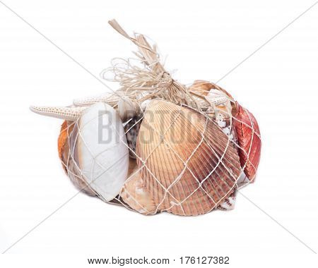 Decorative bag of various seashells from Red Sea isolated on white background