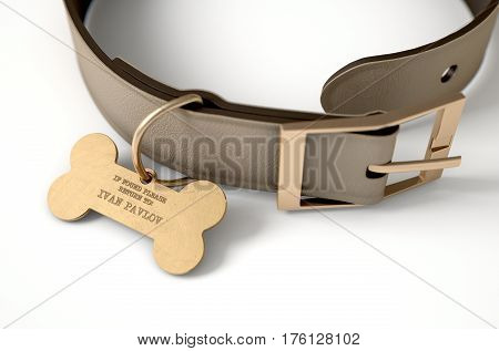 Leather Collar With Tag