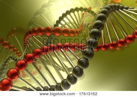 DNA spiral