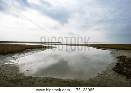 Landscape On Delta Of River Evros, Greece