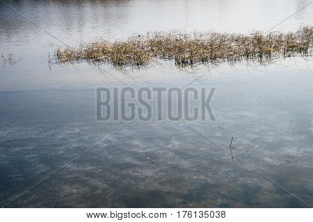 Landscape On Delta Of River Evros, Greece