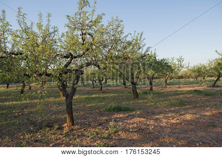 By the village of Vilafames in Castellon