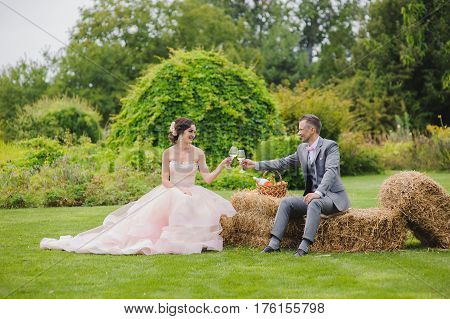 Clinking glasses. Bride and groom make toast sitting on a bale of hay. Grass trees and bushes in the background.