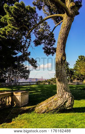 Lands End San Francisco