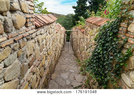 Path Leading To St. Nino Spring In Monastery Of St. Nino At Bodbe. Sighnaghi. Georgia