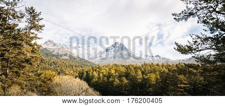 Woodland and snow capped mountain range. Navacerrada Madrid Spain