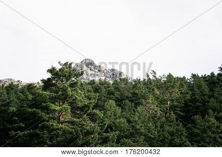 Woodland and snow capped mountain range. Navacerrada Madrid Spain