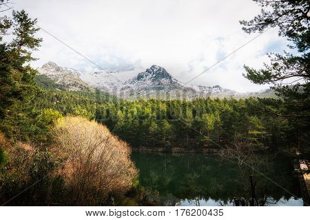 Woodland and snow capped mountains. Navacerrada Madrid Spain