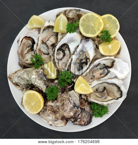 Oyster Shellfish On Image & Photo (Free Trial) | Bigstock