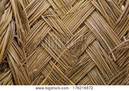 Esparto grass texture. Esparto background. Closeup view of esparto texture for designers. Pattern, background and texture for designers. Abstract pattern.