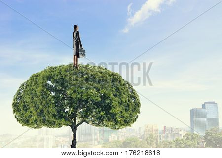 Forestation as ecologyy solution . Mixed media