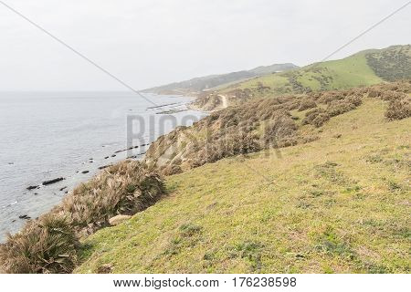 Strait Natural Park in Cadiz Spain Europe