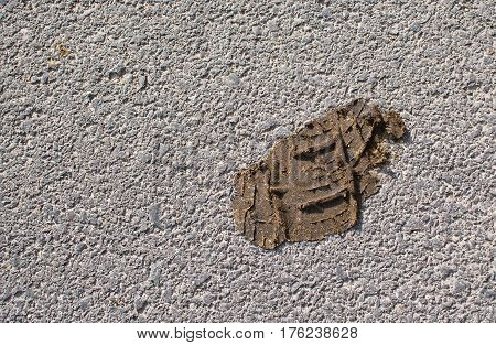 Footprint In Dog Doo