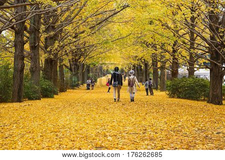 Showa Kenen Park