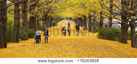 Showa Kenen Park
