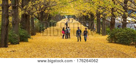 Showa Kenen Park