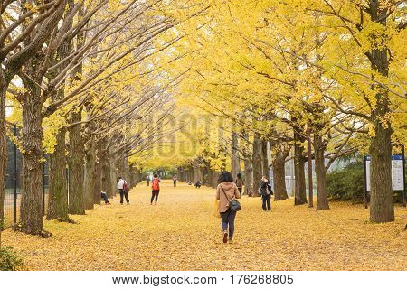 Showa Kenen Park