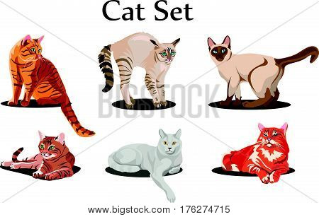 Cats2.eps