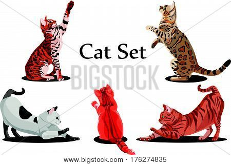 Cats3.eps