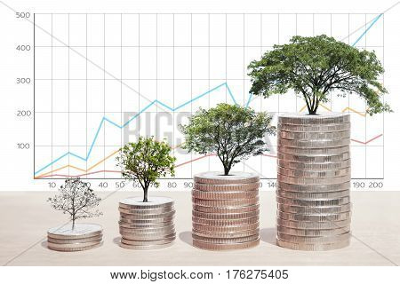 Concept of money tree growing from coins Business graph background Saving money Economy Investment and Saving Concept.