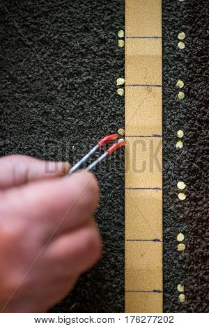 Farmer`s  Hand Holding Tweezers Precisely Planting Seeds For Pepper Seedlings
