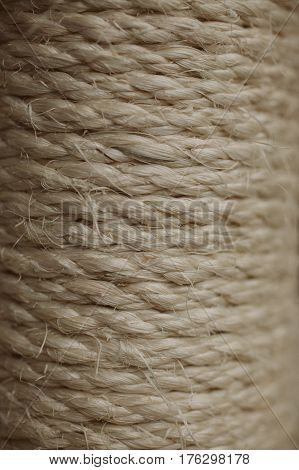 Esparto grass texture. Esparto background. Close up view of esparto texture and background. Abstract background and texture for designers. Old rope.