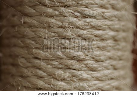 Esparto grass texture. Esparto background. Close up view of esparto texture and background. Abstract background and texture for designers. Old rope.
