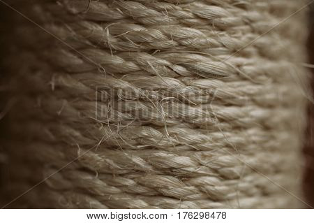 Esparto grass texture. Esparto background. Close up view of esparto texture and background. Abstract background and texture for designers. Old rope.