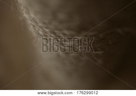 Esparto grass texture. Esparto background. Close up view of esparto texture and background. Abstract background and texture for designers. Old rope.