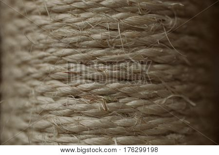 Esparto grass texture. Esparto background. Close up view of esparto texture and background. Abstract background and texture for designers. Old rope.