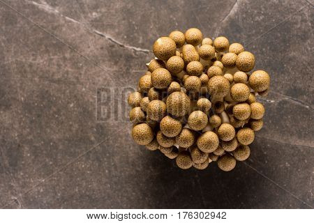 Brown Shimeji Mushrooms as Fungi Food Background