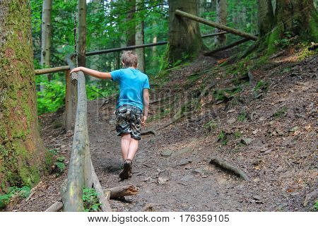 Boy walks among trees in forest park