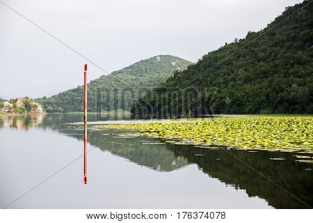 Lake Shkod also called Scutari, Skadar and Shkodra lies on the border of Albania and Montenegro, the largest lake in the Southern Europe