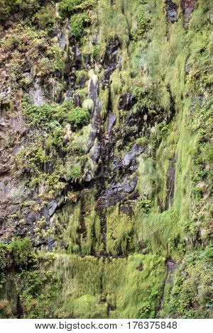 Risco Waterfall of the Twenty-five Fountains Levada hiking trail Madeira Portugal