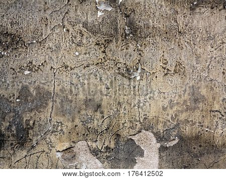 Old cracked and eroded plaster - grunge texture