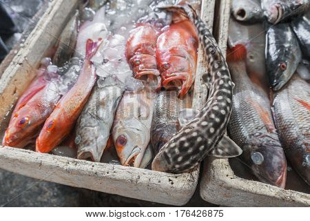 Selling fresh seafood fish on the tourist attraction local market in Jimbaran Bali Island