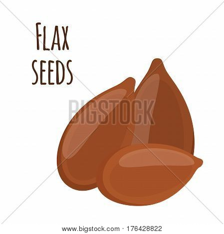 Flax seeds, linseed. Brown seed, organic vegetarian food. Cereal, crop. Flat vector style.
