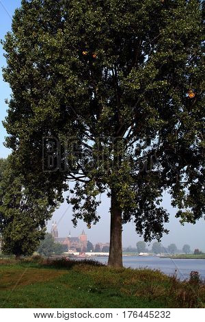 Landscape On Cuijck
