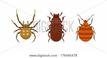 Insect icon flat isolated nature flying bugs beetle ant and wildlife spider grasshopper or mosquito cockroach animal biology graphic vector illustration. Insecticide graphic cockroach bumblebee.