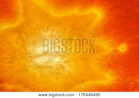 Close up of orange carrot slice center. Macro photography.
