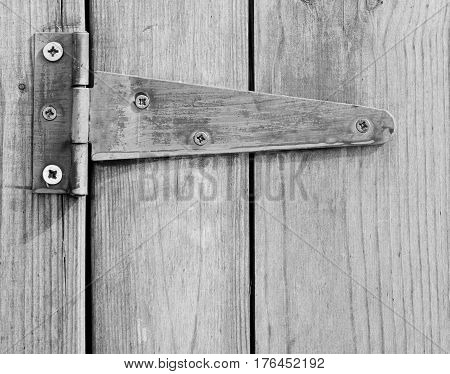Close up of screwed hinge on wooden door