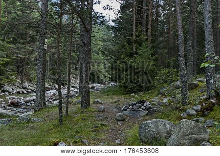 Beautiful view of the  Rila mountain with forest and river Iskar, Bulgaria