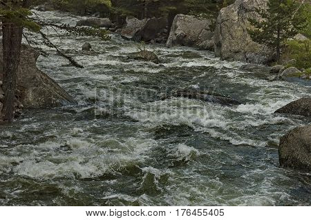 Beautiful view of the  Rila mountain with river Iskar close up, Bulgaria