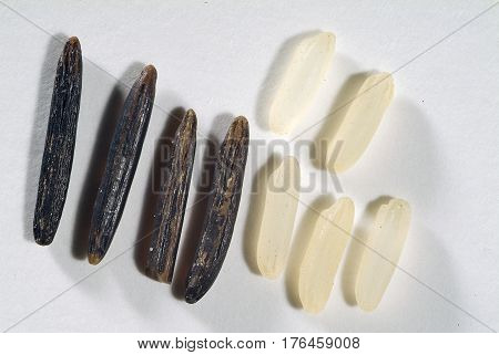 Close up of Grains of wild rice and patna parboiled