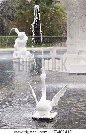 Spouting Swan Of Forsyth Park Fountain Savannah Ga