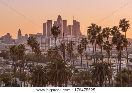 Beautiful sunset of Los Angeles downtown skyline and palm trees in foreground